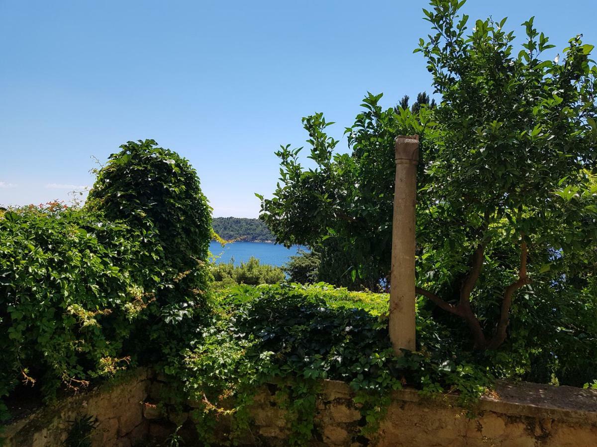 Villa Palmera Dubrovnik Exterior photo